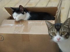 -厦门良筑精品酒店(厦门中山路店)