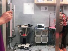 -宠福鑫康馨动物医院·骨科·眼科
