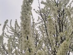 -涞滩古镇