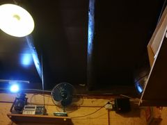 -锅儿挑面馆