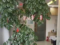 -麦悠悠·SPA·推拿(沈杜公路地铁站店)