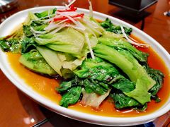 白灼罗马生菜-宴礼烤鸭本味菜(蠡县商业步行街店)