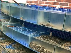 水产区-蟹谢蒸鲜自助餐厅