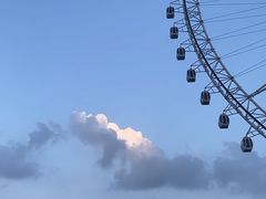 -祥源·阜阳生态乐园