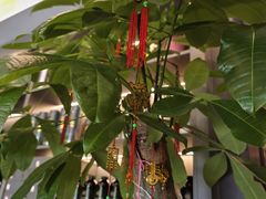 -鹿栖.精油SPA(金山世纪城店)
