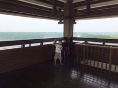 -大湾区中央湿地公园