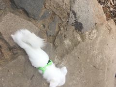 -浙北大峡谷
