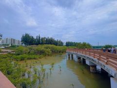 -宝安西湾红树林湿地公园