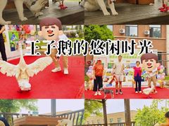 -派美特宠物医院·核磁CT·骨科肿瘤·疑难转诊(沈农禾丰店)