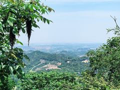 -天花井景区