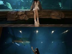 -华夏文旅海洋公园