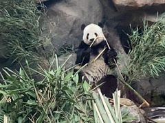 -北京动物园