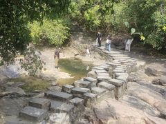 -广州白江湖森林公园