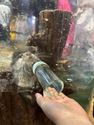 -Zoolung Zoolung动物主题公园(海信广场店)