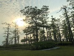 -芒洲湿地公园