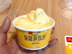 -麦当劳(金州新玛特购物广场店)