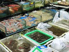 水产区-盛港湾海鲜食府(黄沙店)