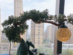 -淮扬韵(市政府汉神店)