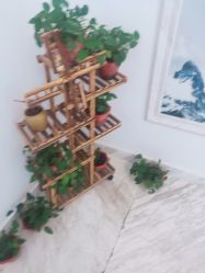 -痘院长·祛痘·皮肤管理