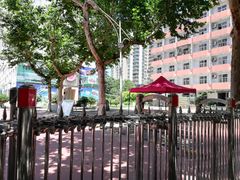 -西北大学(桃园校区)