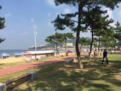 -蓬莱仙岛