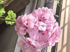 -兰庭玉树·老饭骨家宴(后海店)