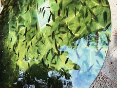 -三亚珠江南田温泉度假区