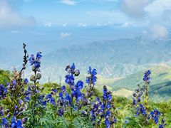-灵山