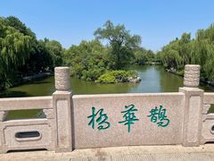 -鹊华居·地道鲁菜·海鲜·融合味(大明湖店)