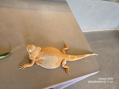 -厦门园林博览苑
