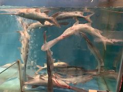 鸭嘴鱼-漓江又一軒·广西菜·桂林米粉(梅林店)