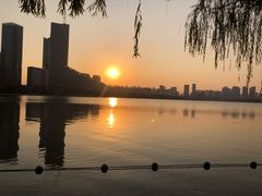 -天鹅湖体育公园