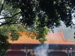 -深圳仙湖植物园