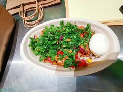 -油梨树AVOCADO TREE(顺义新国展店)