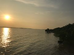 -宝安西湾红树林湿地公园