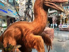 -安徽省地质博物馆