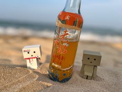 -日照灯塔风景区