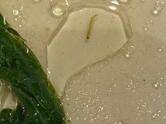 -小鱼小牛·鱼牛干锅·脆鱼火锅(世欧广场店)