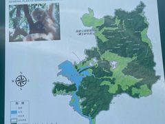 -海南霸王岭国家森林公园