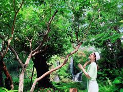 -Chom Cafe and Restaurant