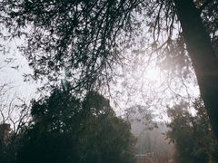 景点-景山公园