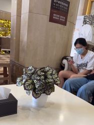 -顺德壹加壹美容医院