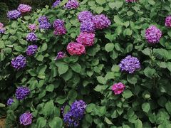 -重庆雨台山风景区