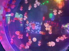 -中央电视塔旋转餐厅
