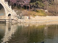 -团结湖公园