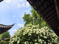 -常熟方塔园