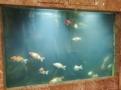 -8号公馆(金川街店)