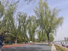 -咸阳湖景区