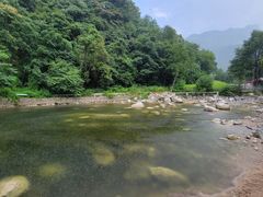 -陕西省红河谷森林公园