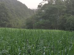 -世间香境·七溪地